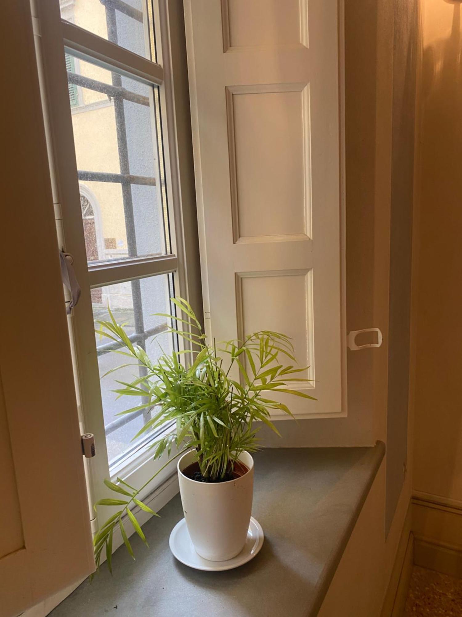 Casa Dei Cherubini Lucca Kültér fotó